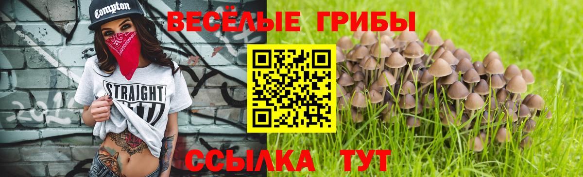Псилоцибиновые грибы мухоморы Нерюнгри